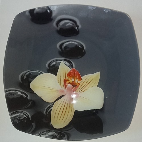 Service grandes assiettes - 7,