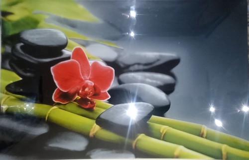 Service grandes assiettes - service, 8