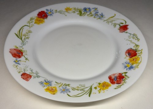 Lot grandes assiettes - de,