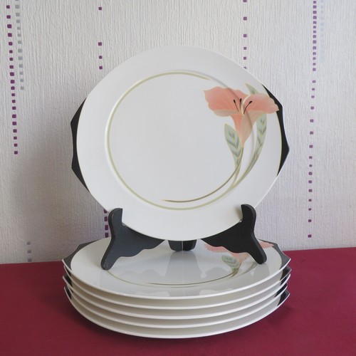 Grandes assiettes plate en - 6,