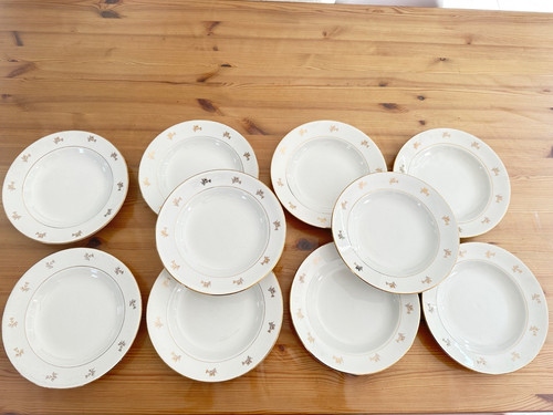 Lot grandes assiettes - grandes,