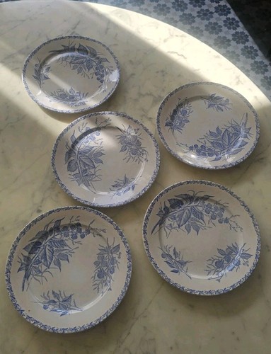 Grandes assiettes plates - grandes,
