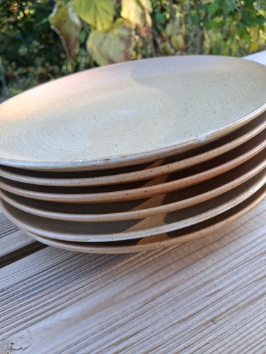 Grandes assiettes plate - 6,